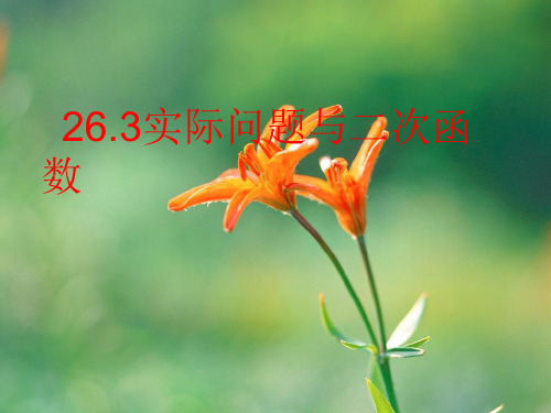 实际问题与二次函数(最大值问题)