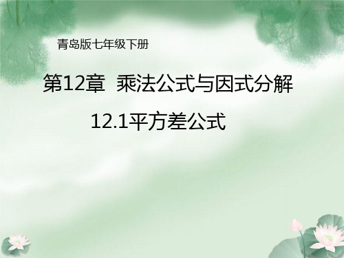 青岛版七年级下册12.1 平方差公式