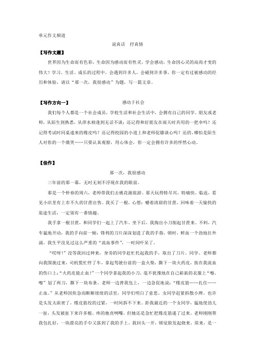 说真话  抒真情