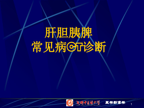 肝胆胰脾疾病CTppt课件