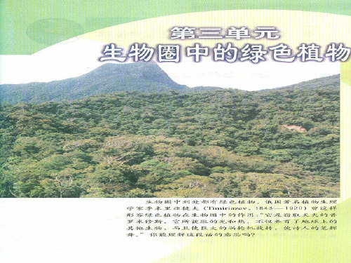 人教版七年级上册生物第三单元教学ppt课件