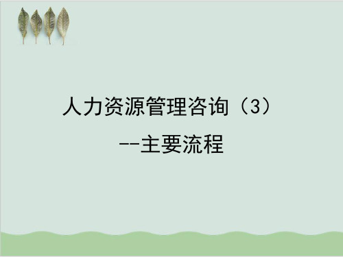 人力资源管理咨询——主要流程PPT课件( 23页)