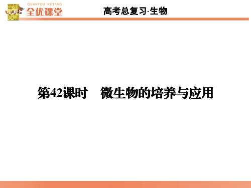2015-2016百世经典_全优课堂_第42课时