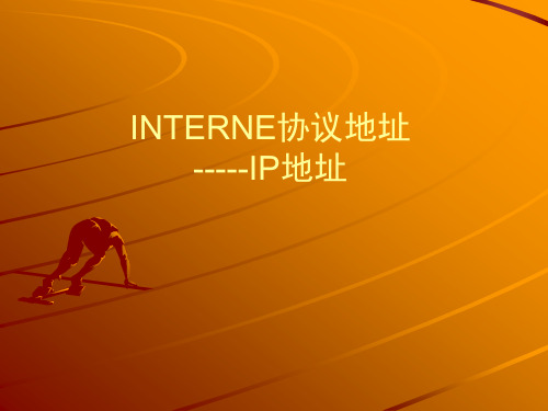 Internet地址