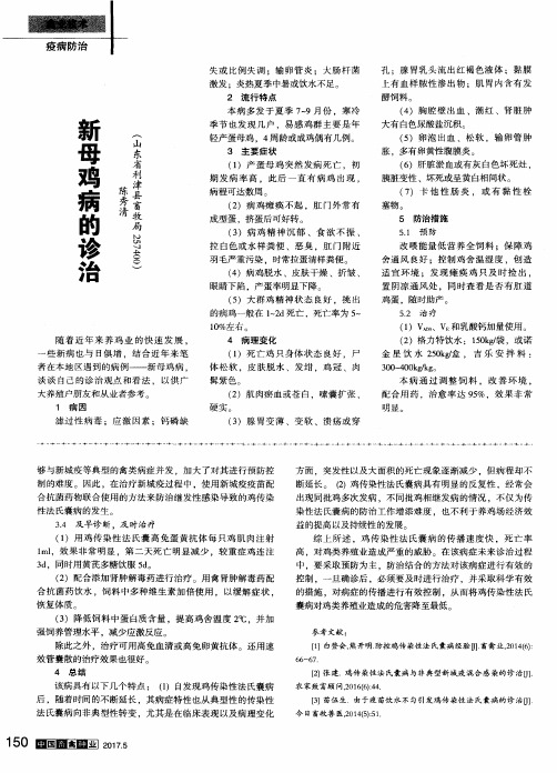新母鸡病的诊治