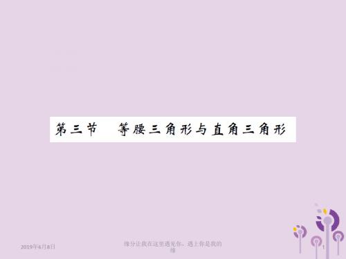 中考数学总复习第四章图形的初步认识与三角形第三节等腰三角形与直角三角形