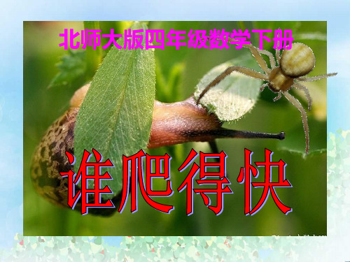 《谁爬得快》小数除法PPT  图文