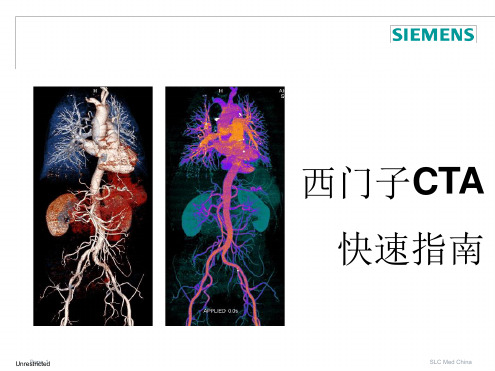 推荐西门子CTA快速指引