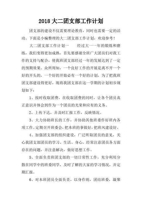 2018大二团支部工作计划