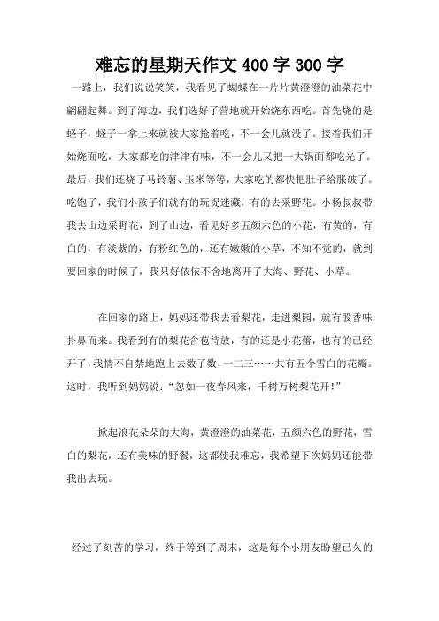 难忘的星期天作文400字300字