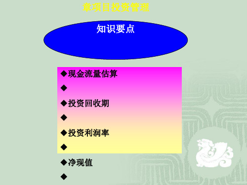 项目投资管理课程(PPT 44张)