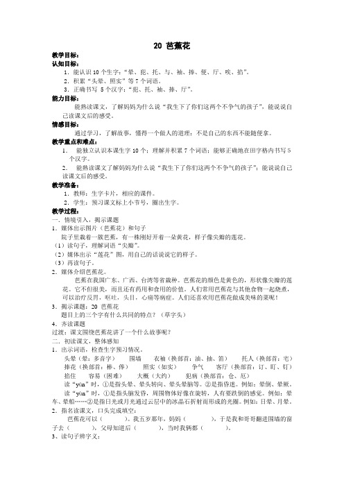 20 芭蕉花