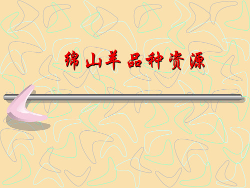 羊的品种(免费)