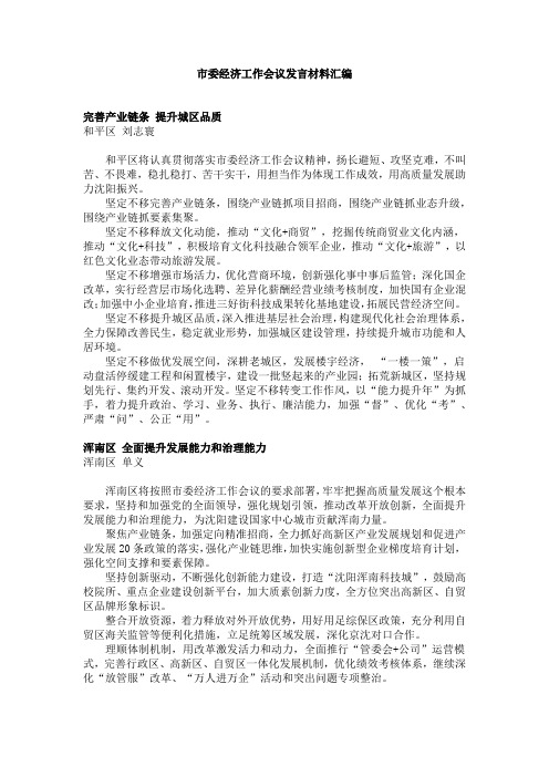 市委经济工作会议发言材料汇编