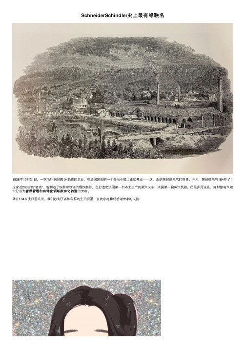 SchneiderSchindler史上最有缘联名
