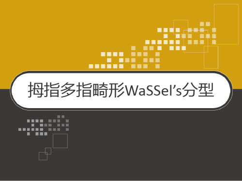 拇指多指畸形WaSSel’s分型 PPT