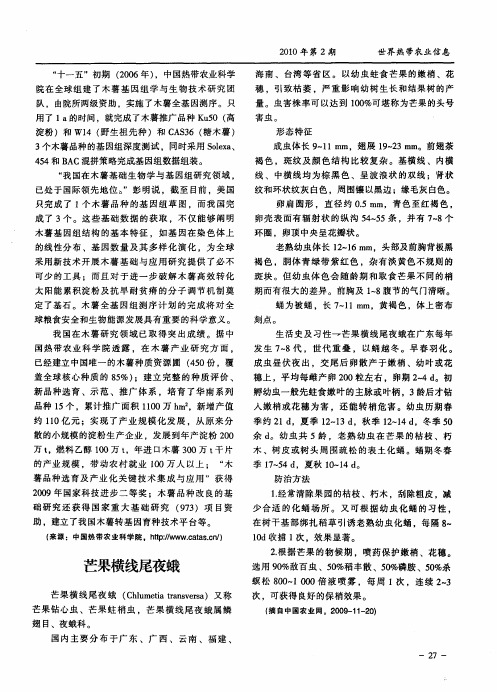 芒果横线尾夜蛾