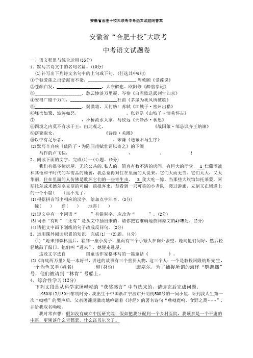 安徽省合肥十校大联考中考语文试题附答案