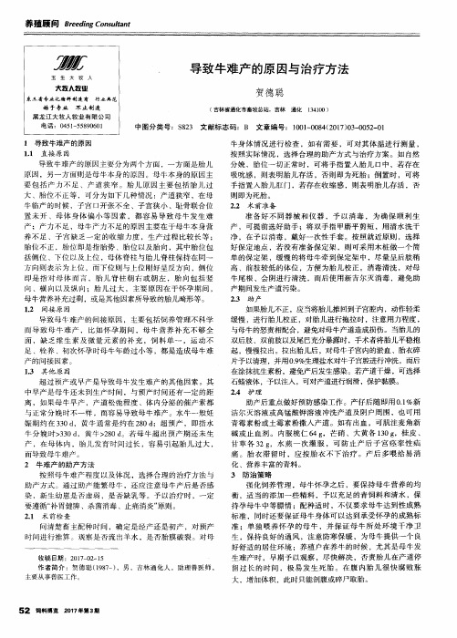 导致牛难产的原因与治疗方法