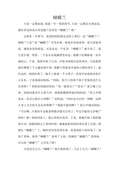 初中作文《蝴蝶兰》
