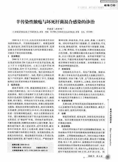 羊传染性脓疱与坏死杆菌混合感染的诊治