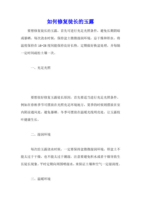 如何修复徒长的玉露