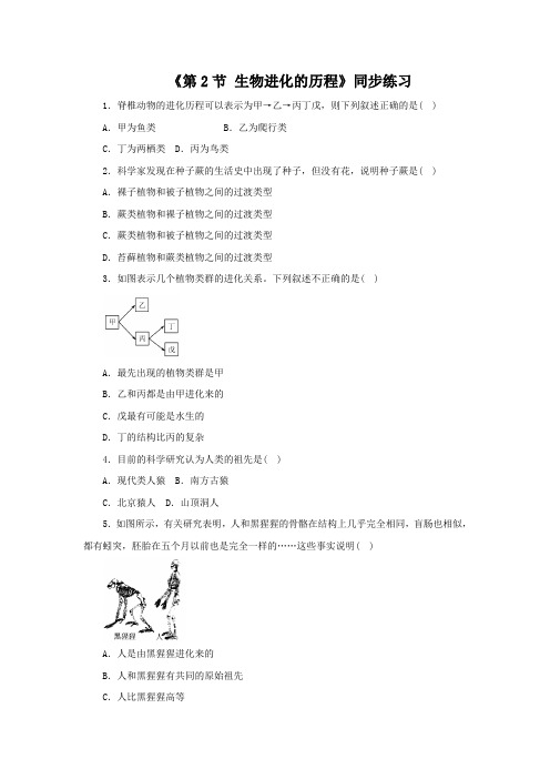 苏科版八年级生物下册 第2节 生物进化的历程同步练习2