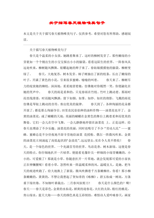 关于描写春天植物唯美句子