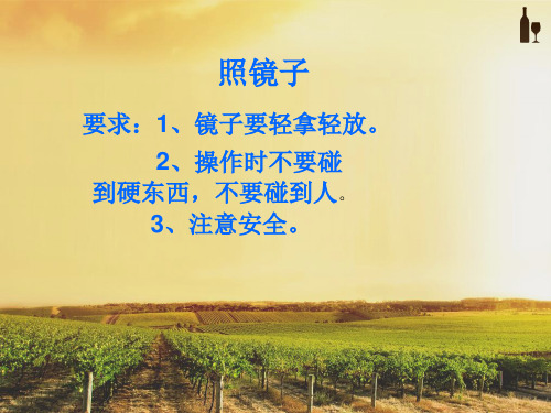五年级上册科学课件-2.2照镜子｜苏教版(共11张PPT)