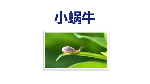 部编版一年级语文上册《小蜗牛》PPT课件