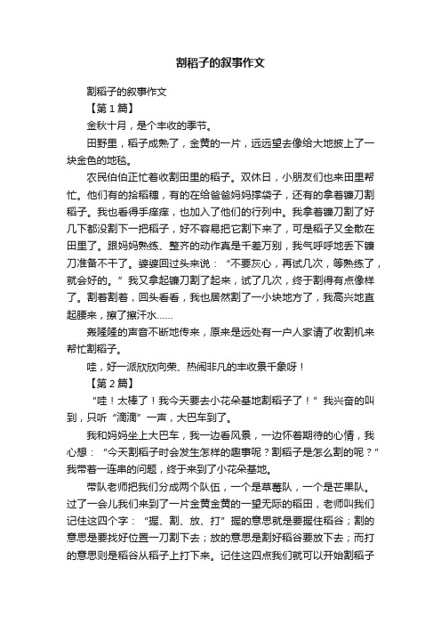 割稻子的叙事作文