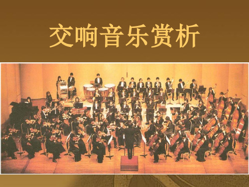 交响音乐赏析