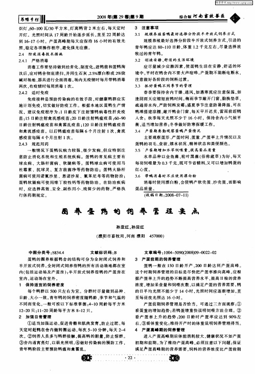 圈养蛋鸭的饲养管理要点
