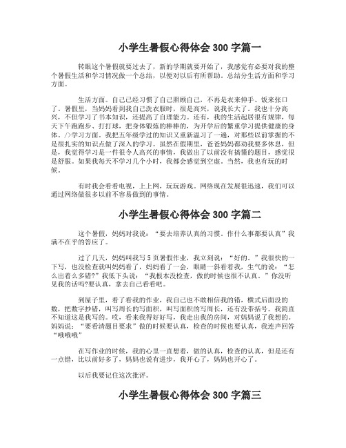小学生暑假心得体会300字