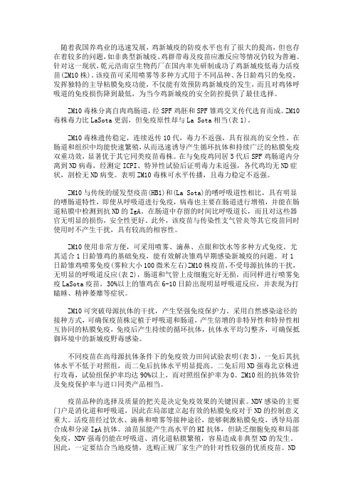 ZM10在鸡新城疫免疫中的应用效果