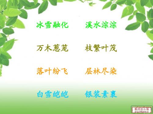 美丽的小兴安岭