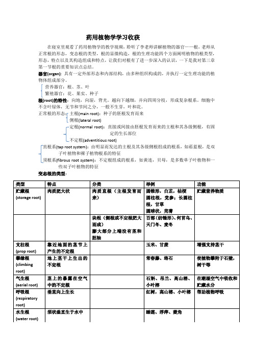 药用植物学学习收获