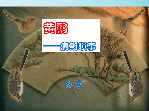 《黄鹂--病期琐事》