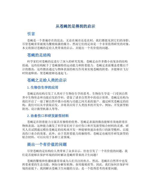 从苍蝇的足得到的启示 苍蝇给人类的启示提出一个有价值的问题