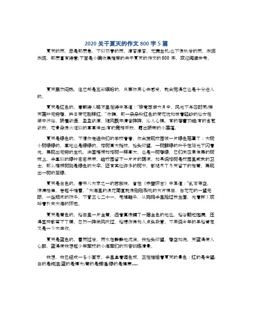 2020关于夏天的作文800字5篇