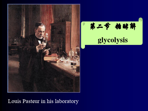 南京农业大学生化课件糖酵解5-8-2