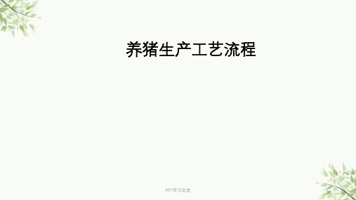 猪生产学_养猪生产工艺流程图课件