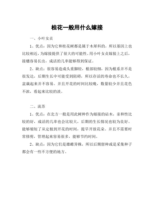 桂花一般用什么嫁接