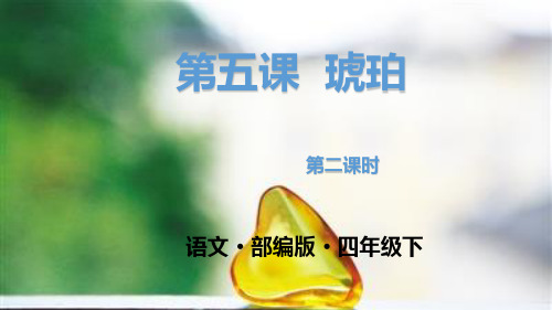 人教(部编版)四年级下册语文《琥珀》第二课时课件
