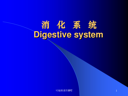 消化系统影像学表现(详细、全面)ppt课件