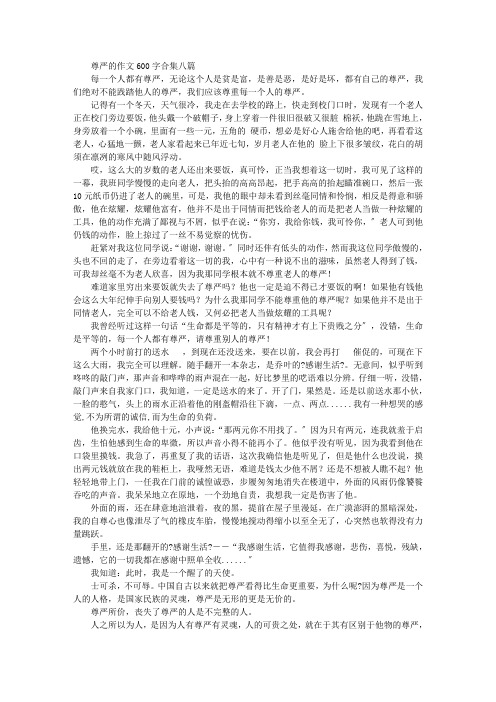 中小学精选尊严的作文600字合集八篇