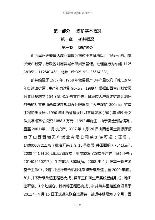 瓦斯治理会诊自评报告书参考模板