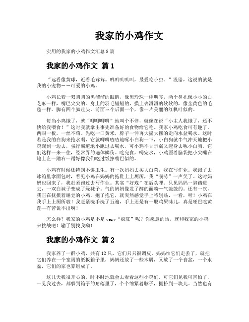 我家的小鸡作文