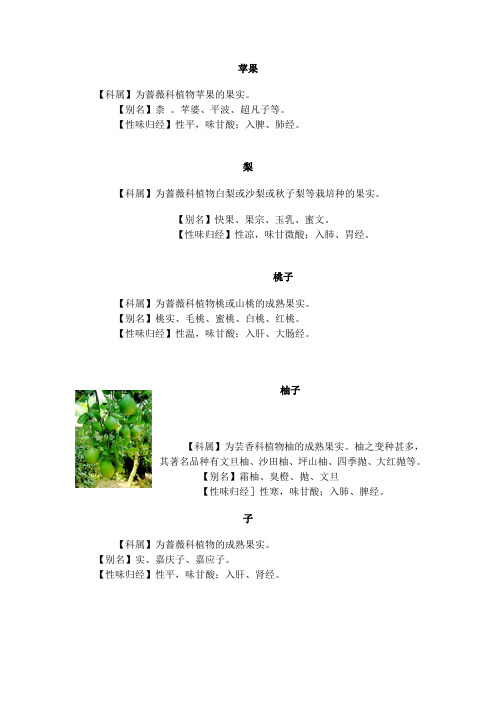 水果的性味归经