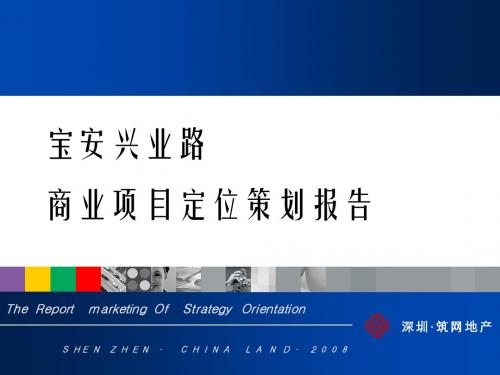 兴业路项目定位报告1.31